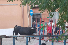 fiestas-virgen-consolacion-27