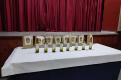 fiestas-virgen-consolacion-78