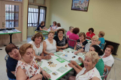 fiestas-virgen-consolacion-88
